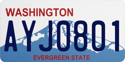 WA license plate AYJ0801