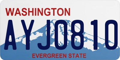 WA license plate AYJ0810