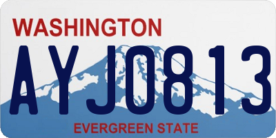 WA license plate AYJ0813