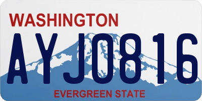 WA license plate AYJ0816