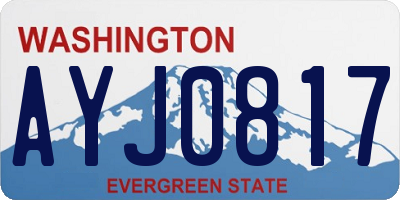 WA license plate AYJ0817