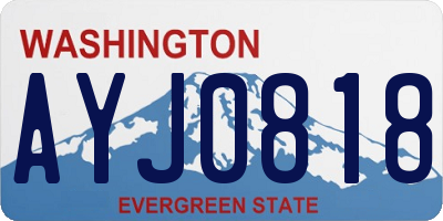 WA license plate AYJ0818