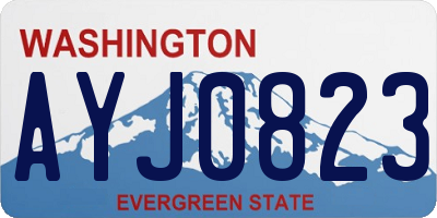 WA license plate AYJ0823