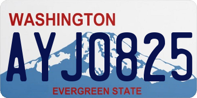 WA license plate AYJ0825