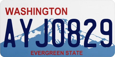 WA license plate AYJ0829