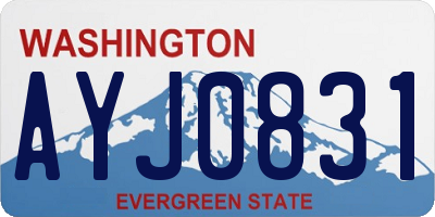 WA license plate AYJ0831