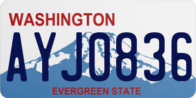 WA license plate AYJ0836