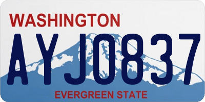 WA license plate AYJ0837