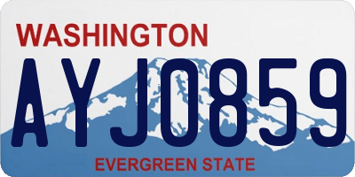 WA license plate AYJ0859