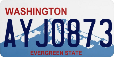 WA license plate AYJ0873