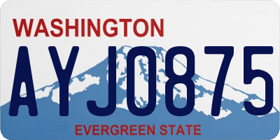 WA license plate AYJ0875