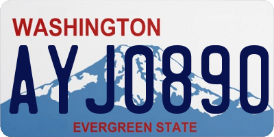WA license plate AYJ0890