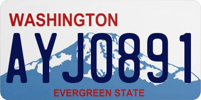WA license plate AYJ0891