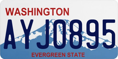WA license plate AYJ0895