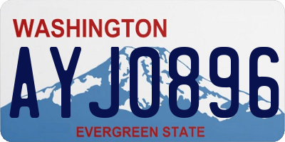 WA license plate AYJ0896