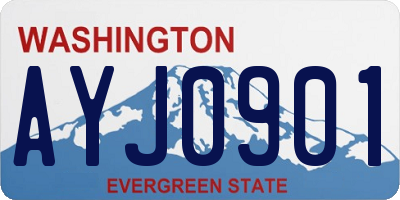 WA license plate AYJ0901