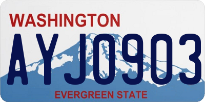 WA license plate AYJ0903