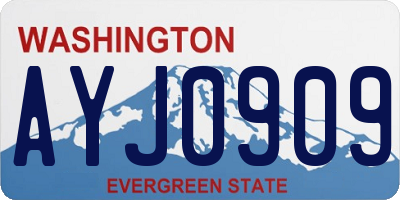 WA license plate AYJ0909