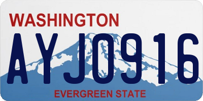 WA license plate AYJ0916
