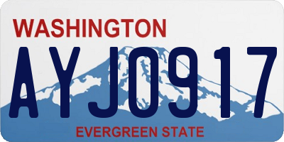 WA license plate AYJ0917