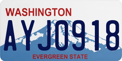 WA license plate AYJ0918