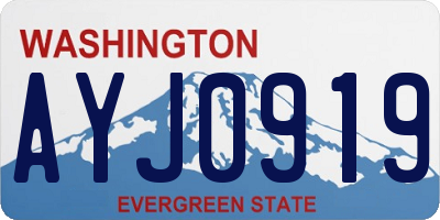 WA license plate AYJ0919