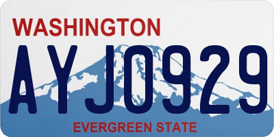 WA license plate AYJ0929