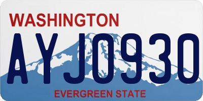 WA license plate AYJ0930