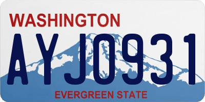 WA license plate AYJ0931
