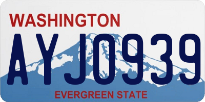 WA license plate AYJ0939