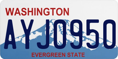 WA license plate AYJ0950
