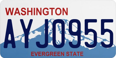 WA license plate AYJ0955