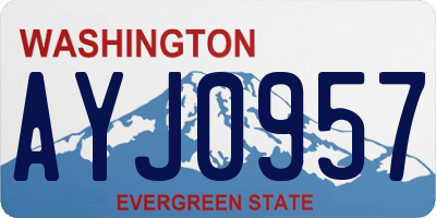 WA license plate AYJ0957