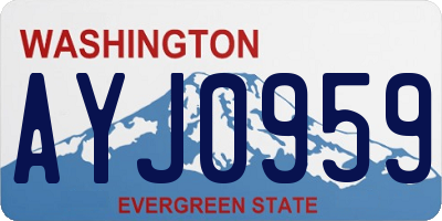 WA license plate AYJ0959