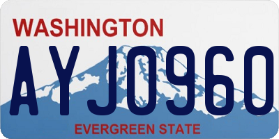 WA license plate AYJ0960