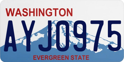 WA license plate AYJ0975