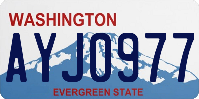 WA license plate AYJ0977