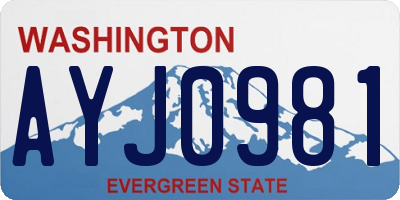 WA license plate AYJ0981