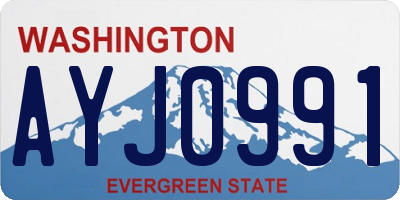 WA license plate AYJ0991