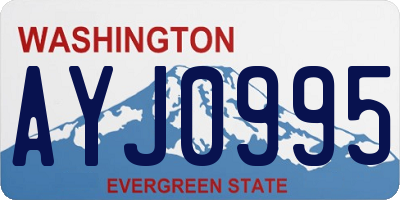 WA license plate AYJ0995