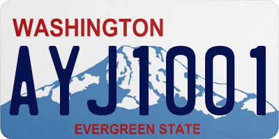 WA license plate AYJ1001