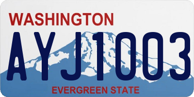 WA license plate AYJ1003