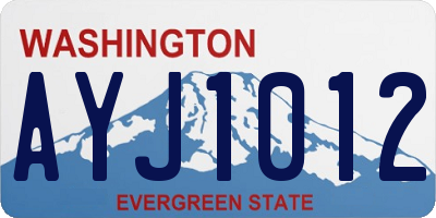 WA license plate AYJ1012