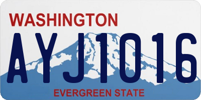WA license plate AYJ1016