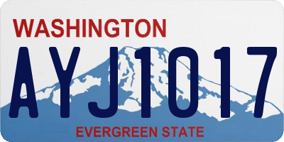 WA license plate AYJ1017