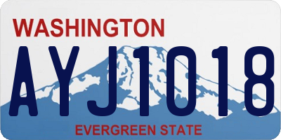 WA license plate AYJ1018