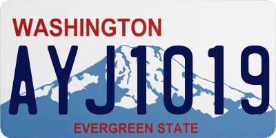 WA license plate AYJ1019
