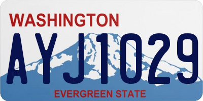 WA license plate AYJ1029