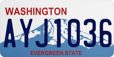 WA license plate AYJ1036