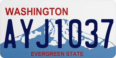 WA license plate AYJ1037